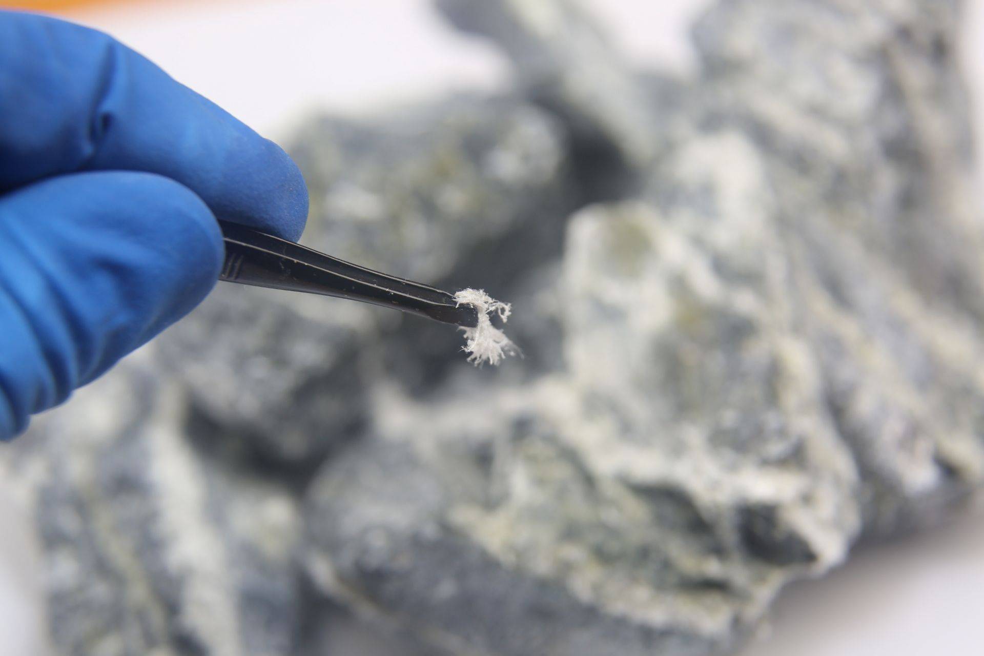 Schadstoffgutachter analysiert Asbestprobe im Labor mit Pinzette und Handschuh
